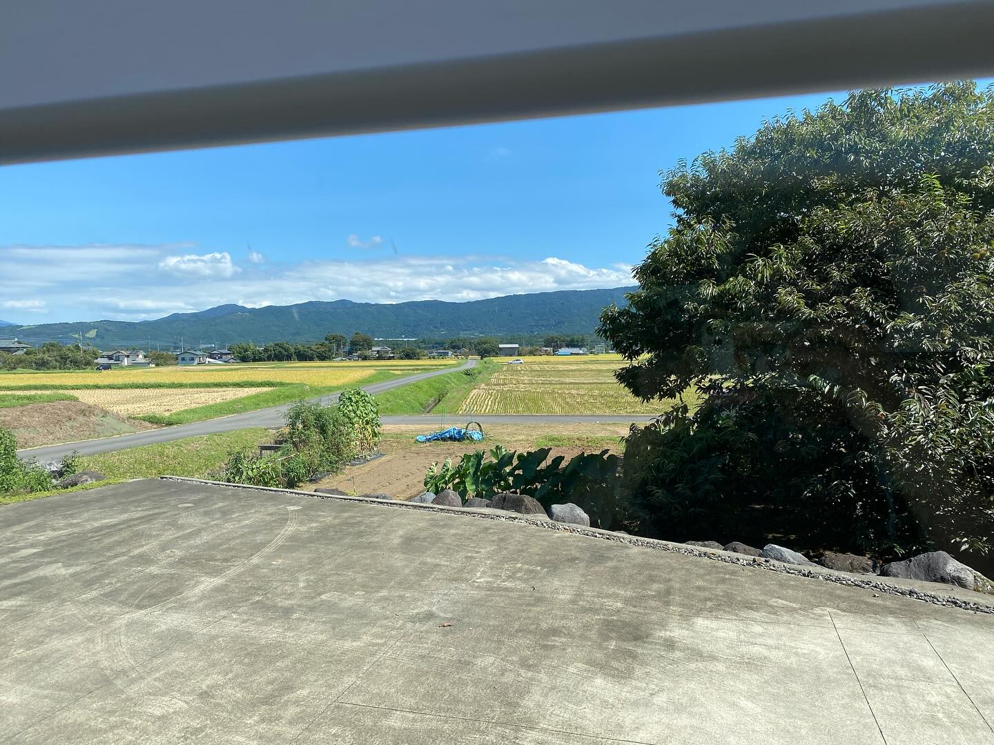 高根デンタルクリニック治療室からの癒やしある風景